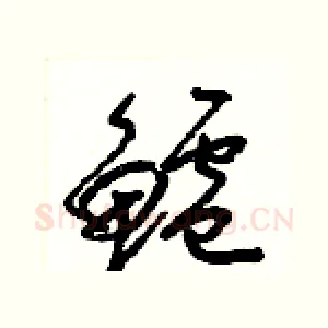 鱸