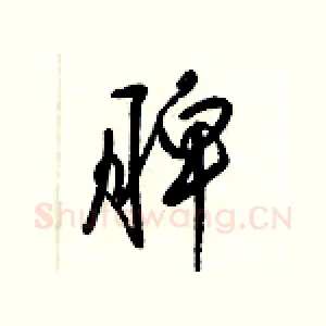脾