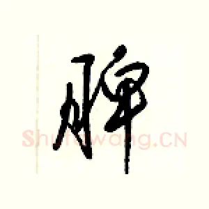 脾