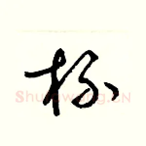 杯