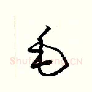 毛