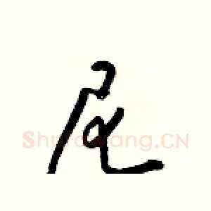 尼
