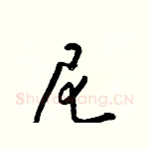 尼