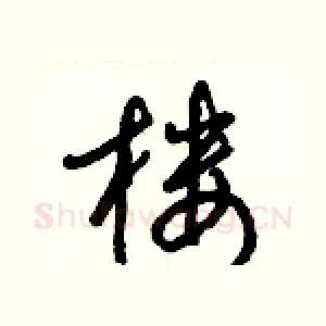 樓