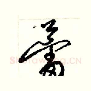 蕾
