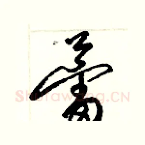 蕾