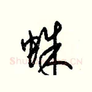 蛛