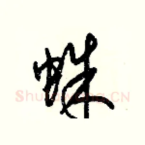 蛛