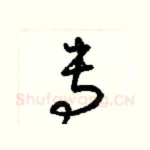 专