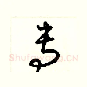 专