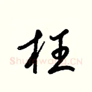 枉