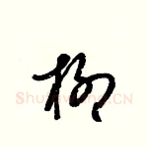 柳