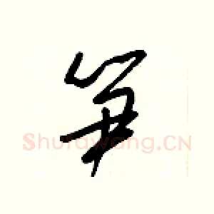 笋