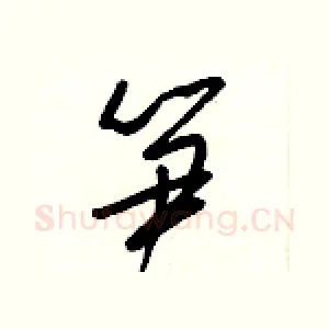 笋
