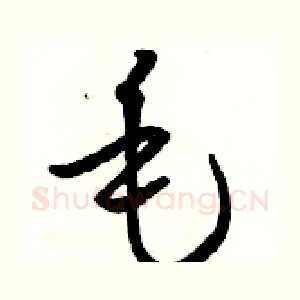 毛