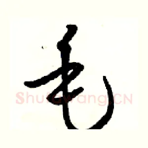 毛