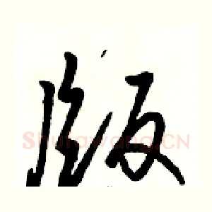 版