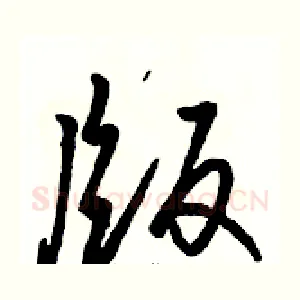 版