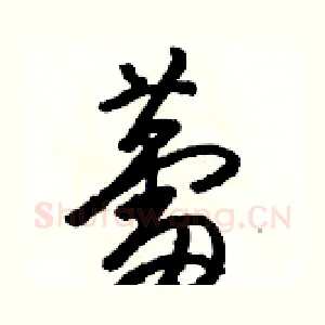 蕾