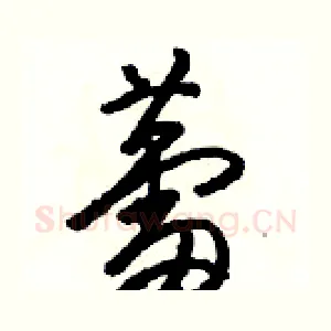 蕾