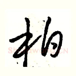 柏