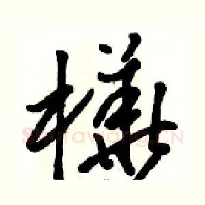 樺
