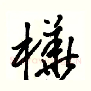 樺
