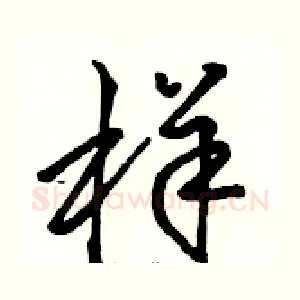 样