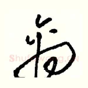 禽