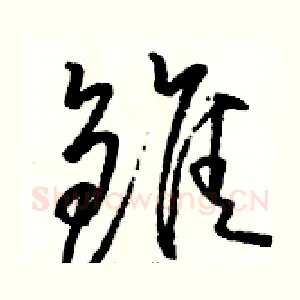 雏