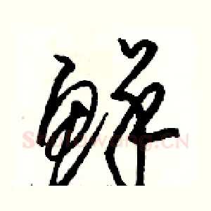 鲜