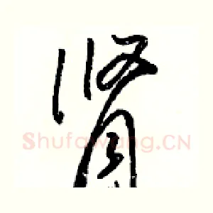 肾