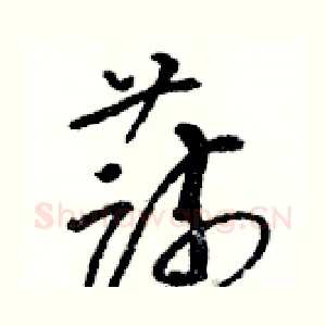 蔬
