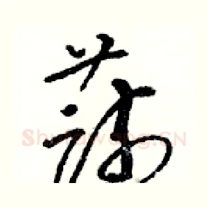 蔬