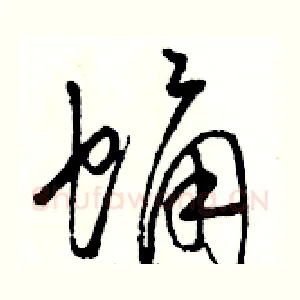 蛹