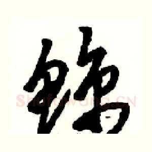 鲸