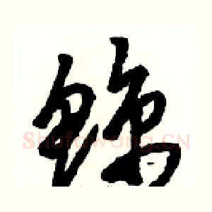 鲸