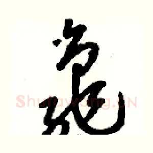 龜