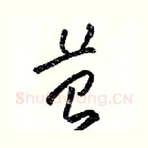 苔