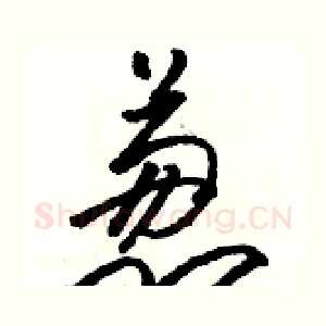 葱