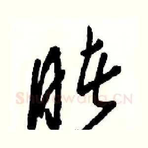 睹
