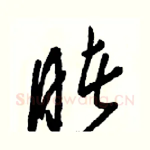 睹