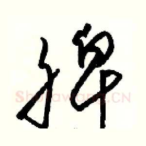 脾