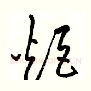 炬