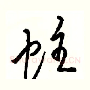 蛀