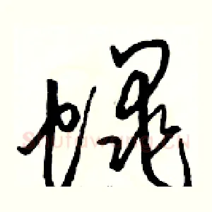蠅