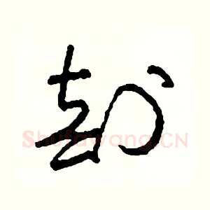 剖