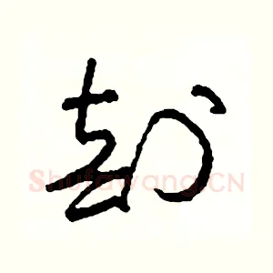 剖