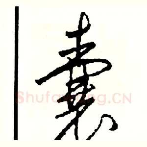 囊