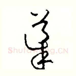導
